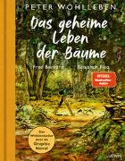 Peter Wohlleben: Das geheime Leben der Bäume. Graphic Novel Peter Wohlleben: Das geheime Leben der Bäume. Graphic Novel
